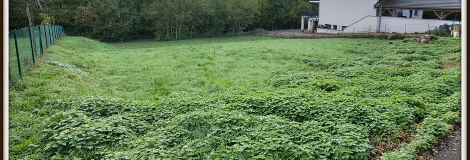 Terrain  1000 m² à vendre à Divonne-les-Bains (01220)