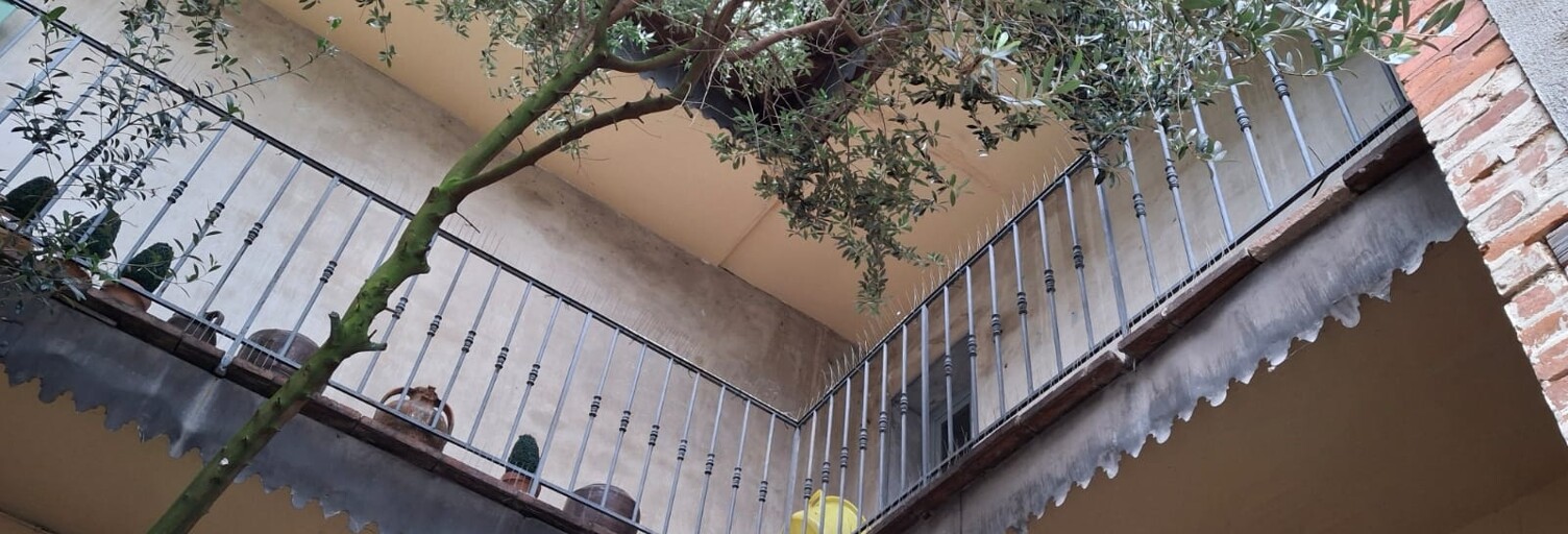 Maison 10 Pièces 328 m² à vendre à Montauban (82000)