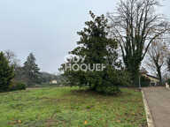 terrain — photo 4