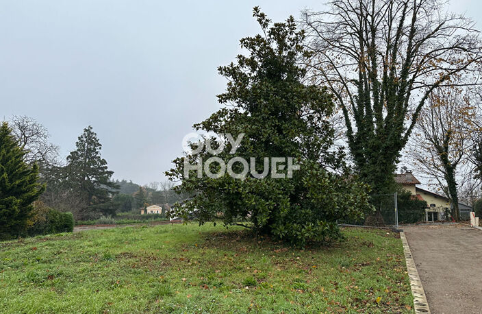 terrain — photo 4