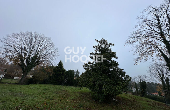 terrain — photo 5