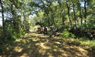 Maison 4 Pièces 135 m² à vendre à Saint-Maximin-la-Sainte-Baume (83470)