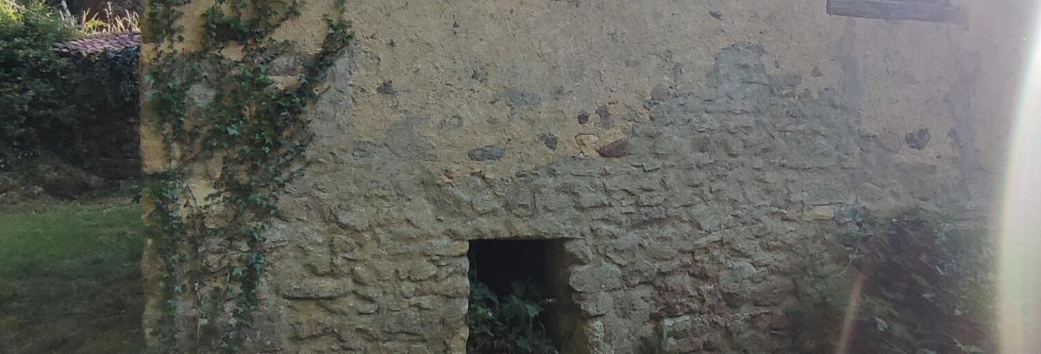 Maison 1 Pièce 40 m² à vendre à Persac (86320)