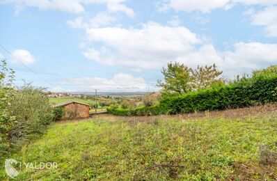 vente terrain 180 000 € à proximité de Chasselay (69380)