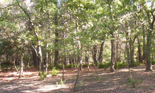 Terrain  5000 m² à vendre à Argelès-sur-Mer (66700)