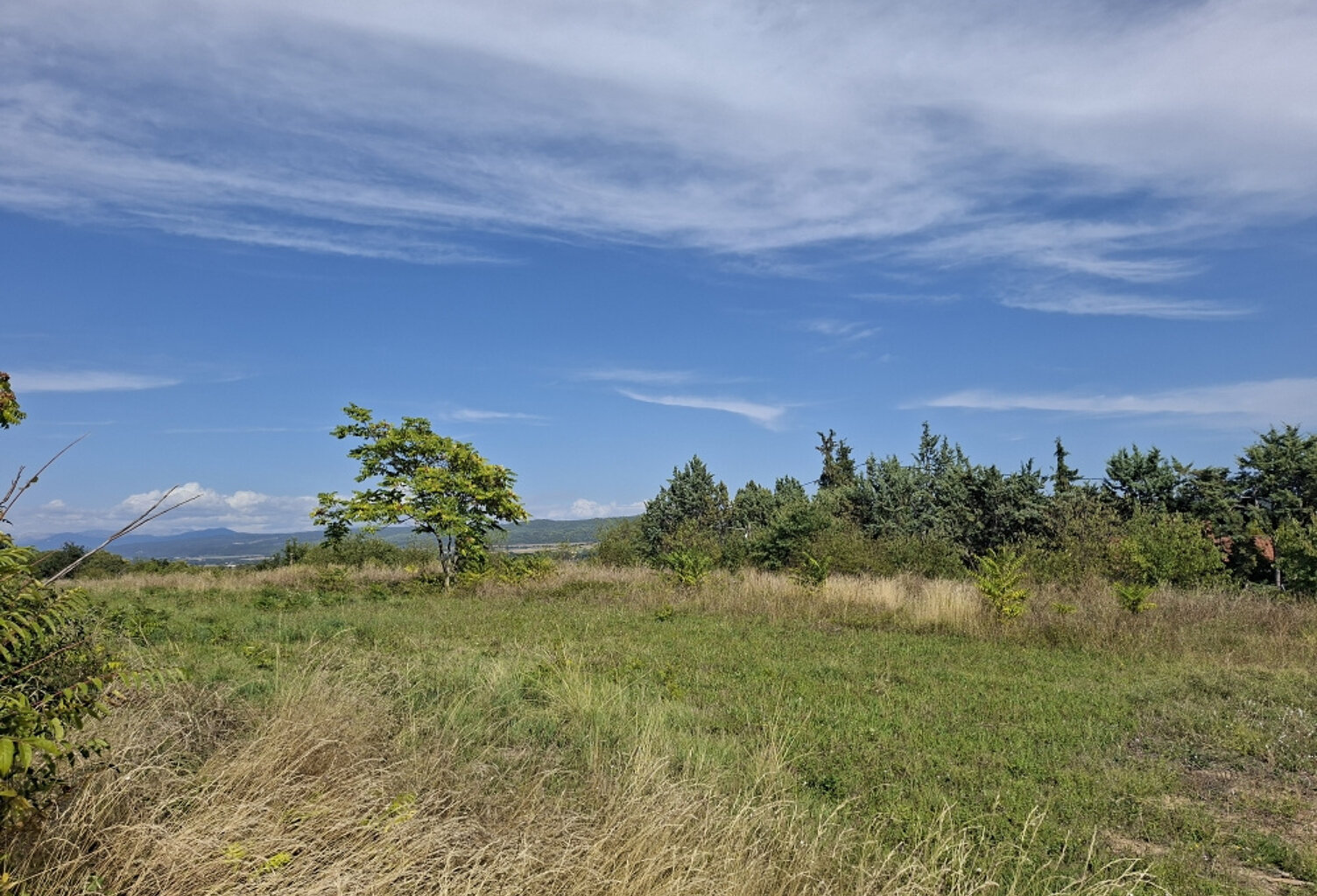 Terrain constructible — photo 1