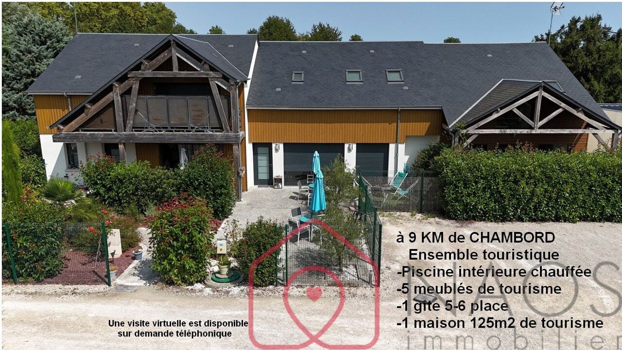 maison 14 pièces 545 m2 à vendre à Mer (41500)