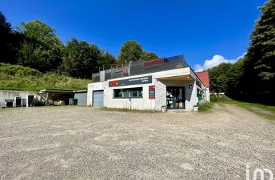 vente commerce 298 000 € à proximité de Fréland (68240)