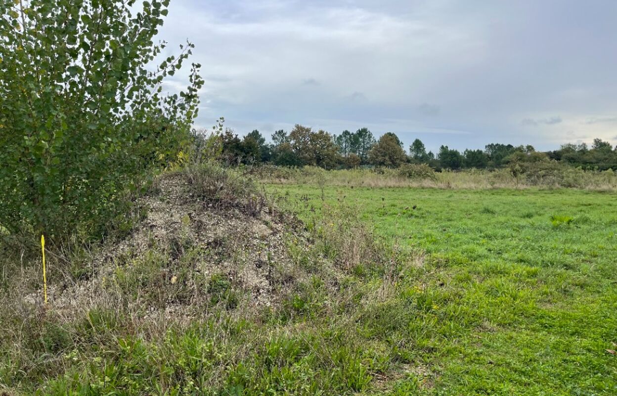 terrain  pièces 700 m2 à vendre à Langon (33210)