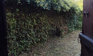 Photo N° 16