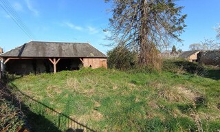 Photo N° 8