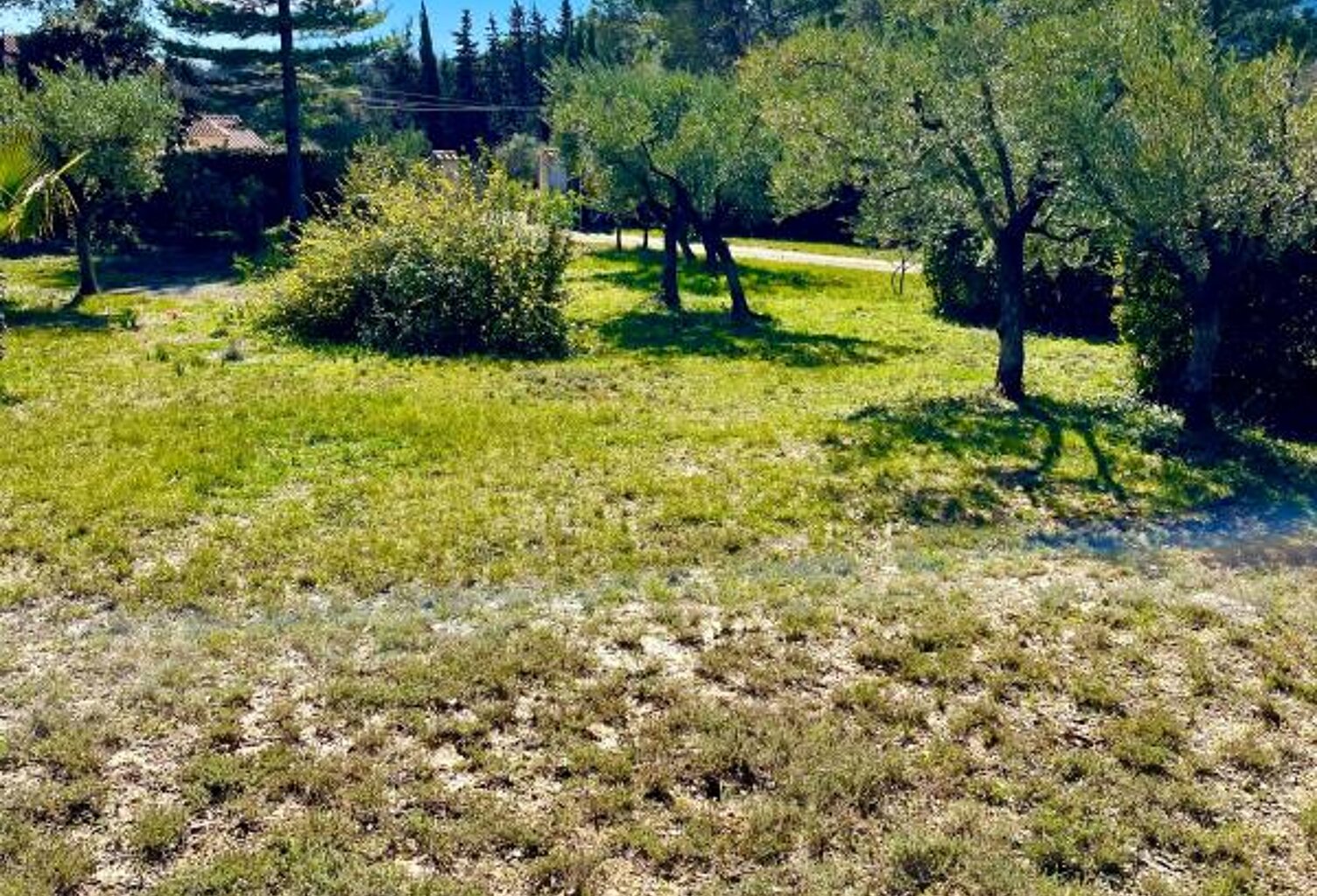 Terrain Brignoles 1000 m2 — photo 1