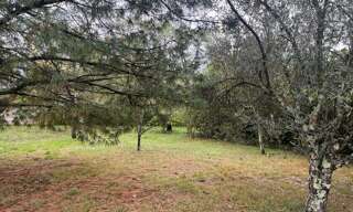 Terrain  594 m² à vendre à Balma (31130)