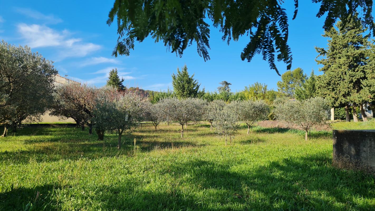 Terrain À Vendre