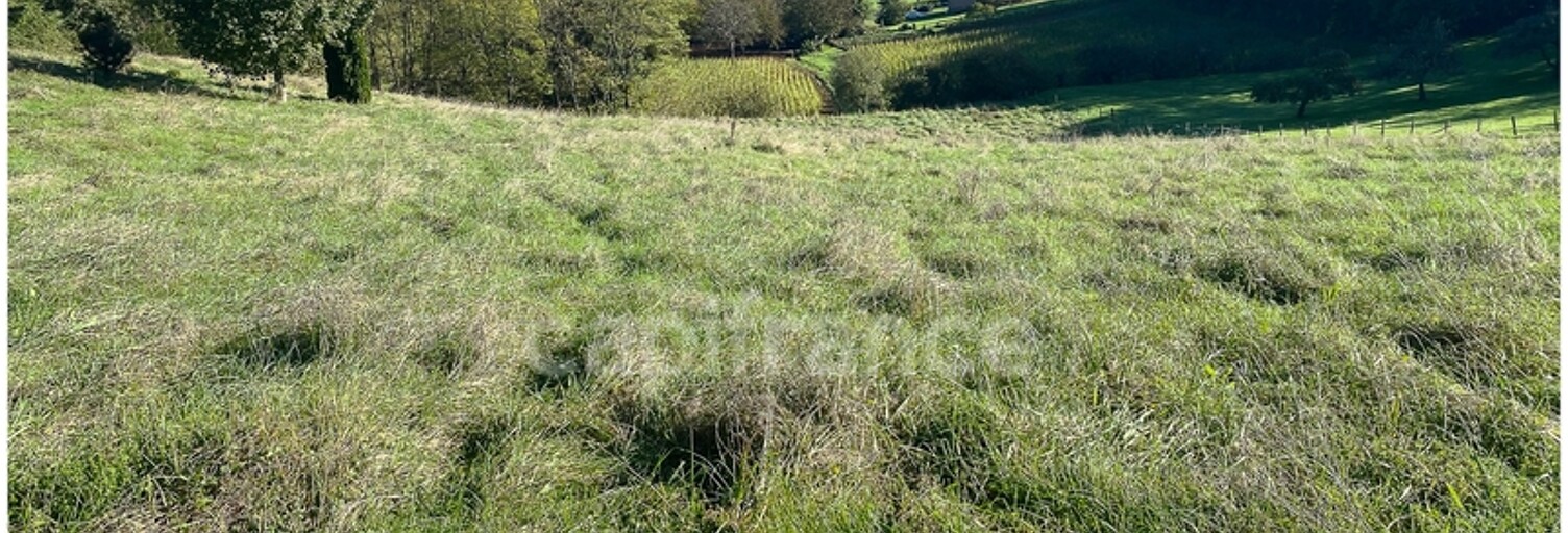 Terrain  6647 m² à vendre à Thiviers (24800)