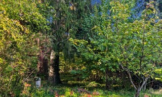 Photo N° 5