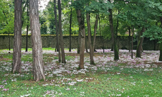 Photo N° 3