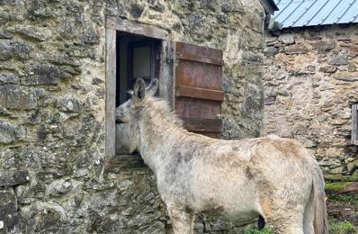 vente maison 120 000 € à proximité de Bedous (64490)