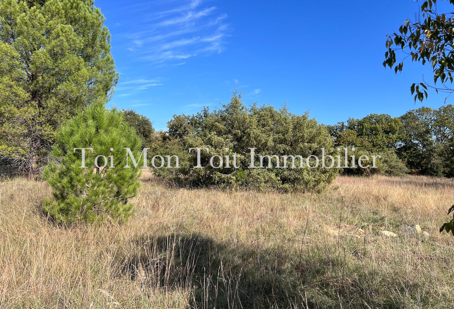 SECTEUR SAUVE - TERRAIN CONSTRUCTIBLE — photo 1