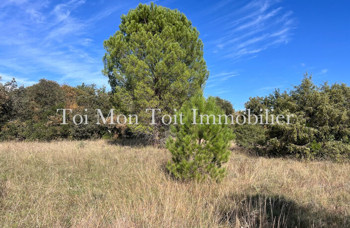 SECTEUR SAUVE - TERRAIN CONSTRUCTIBLE — photo 4