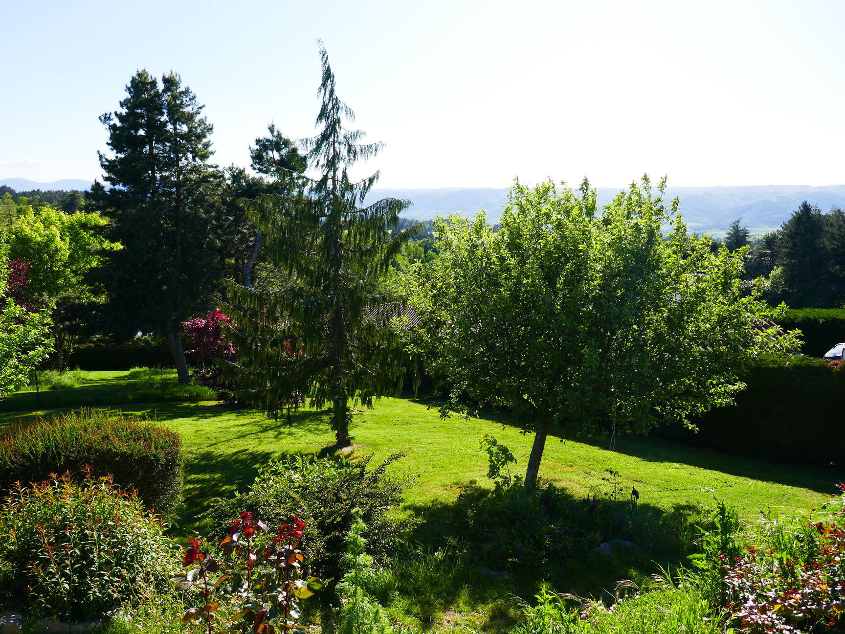 Photo Terrain La Chapelle-d'Aurec