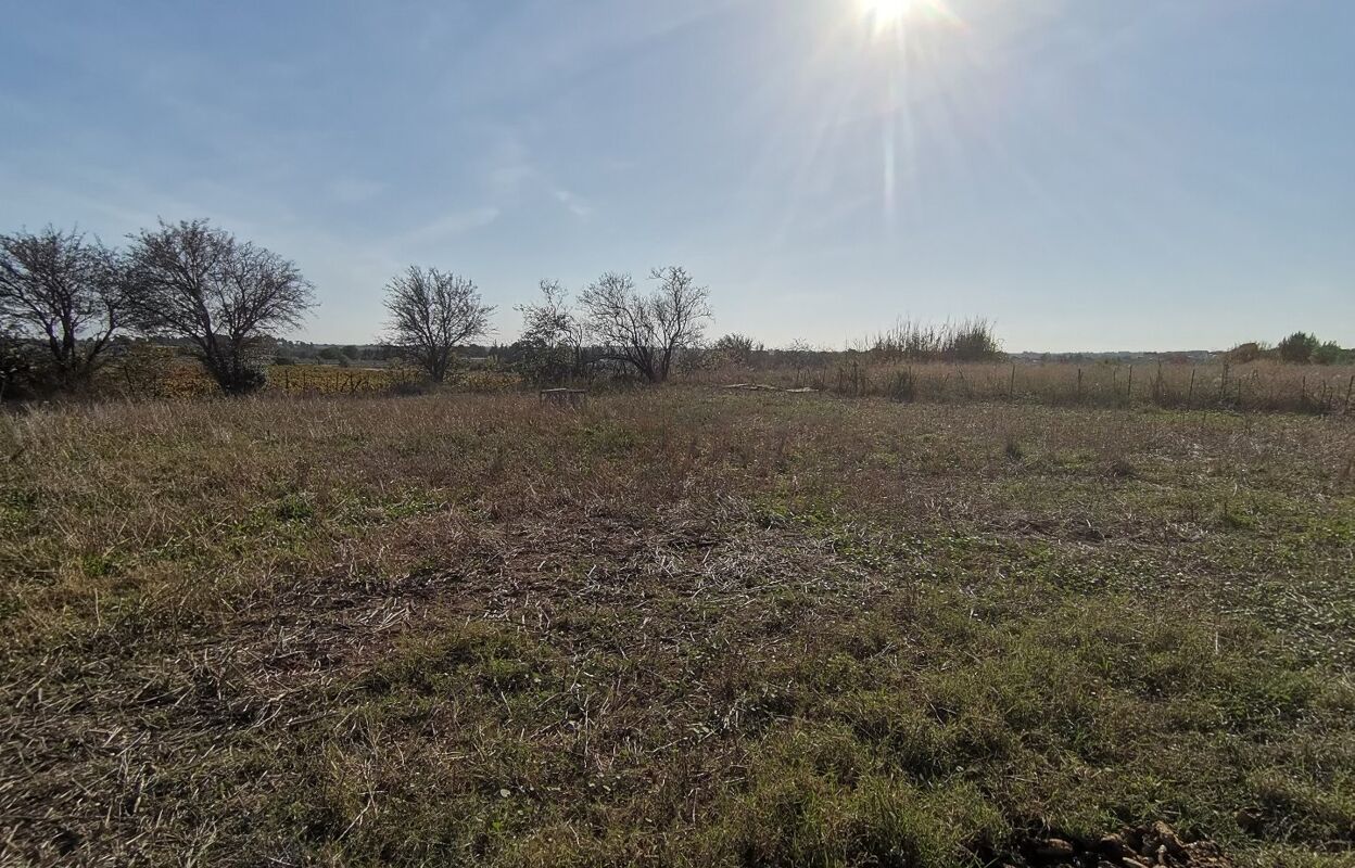 terrain  pièces 3850 m2 à vendre à Loupian (34140)