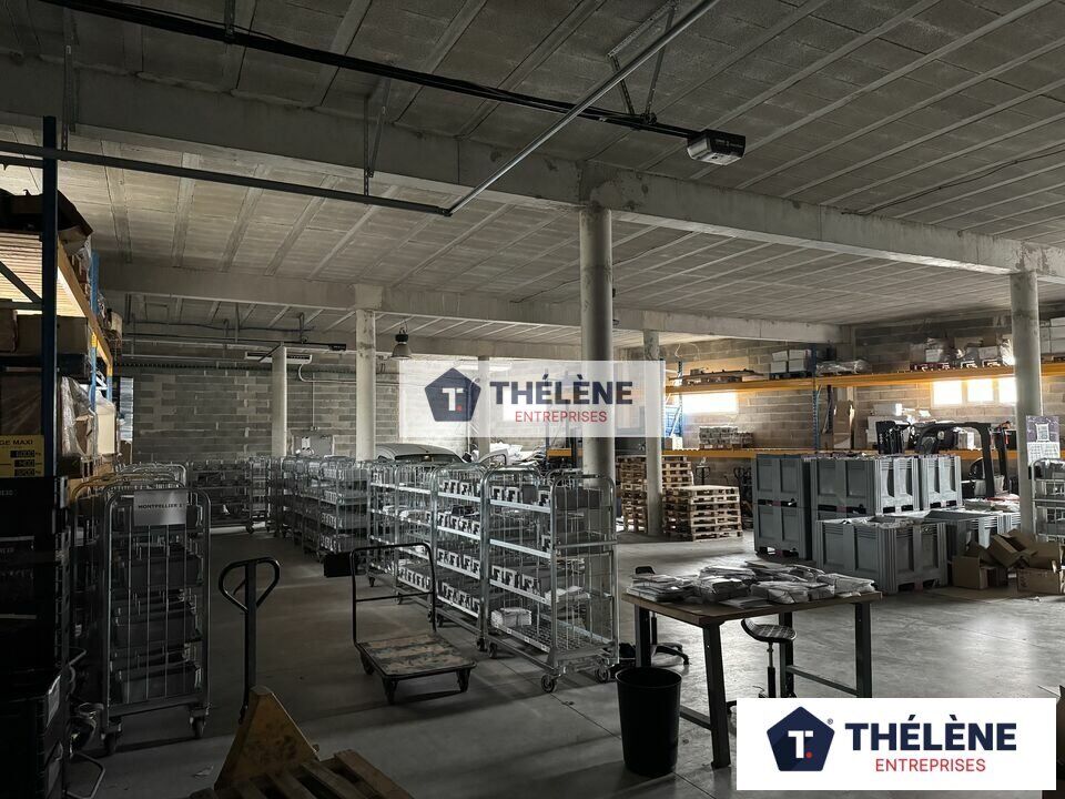 Local commercial  à louer Mudaison 34130