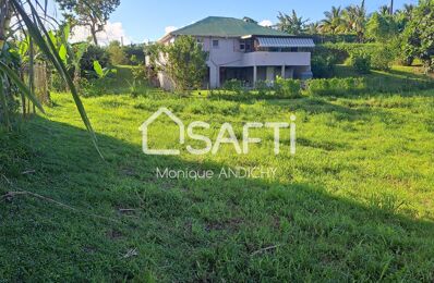 vente terrain 135 000 € à proximité de Le Morne-Rouge (97260)