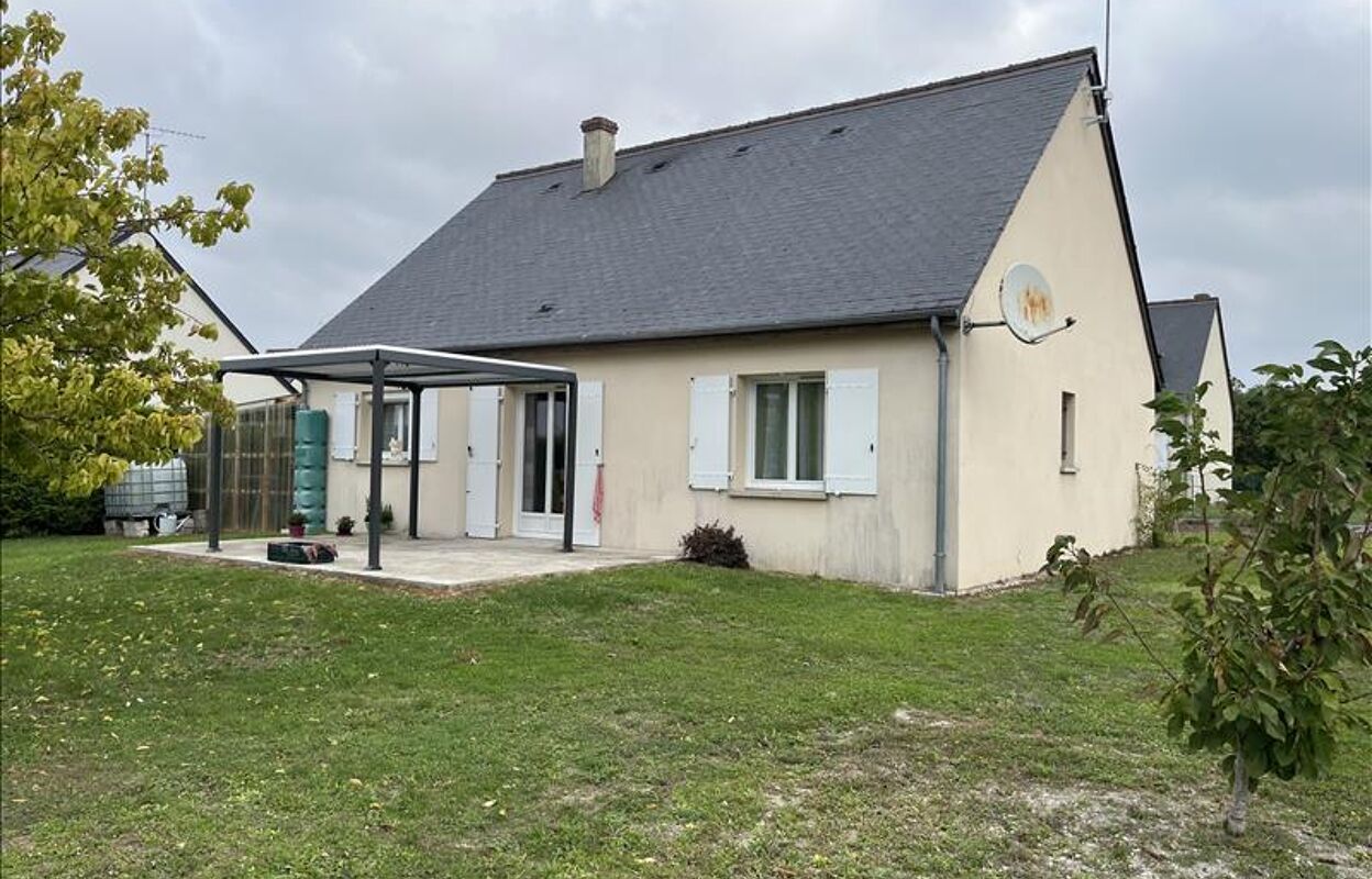 maison 4 pièces 70 m2 à vendre à Pouzay (37800)