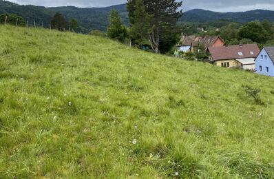 vente terrain 83 000 € à proximité de Saint-Amarin (68550)