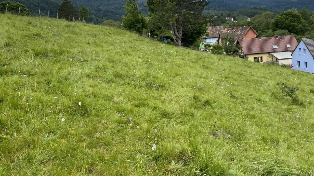 terrain  pièces 1189 m2 à vendre à Masevaux (68290)