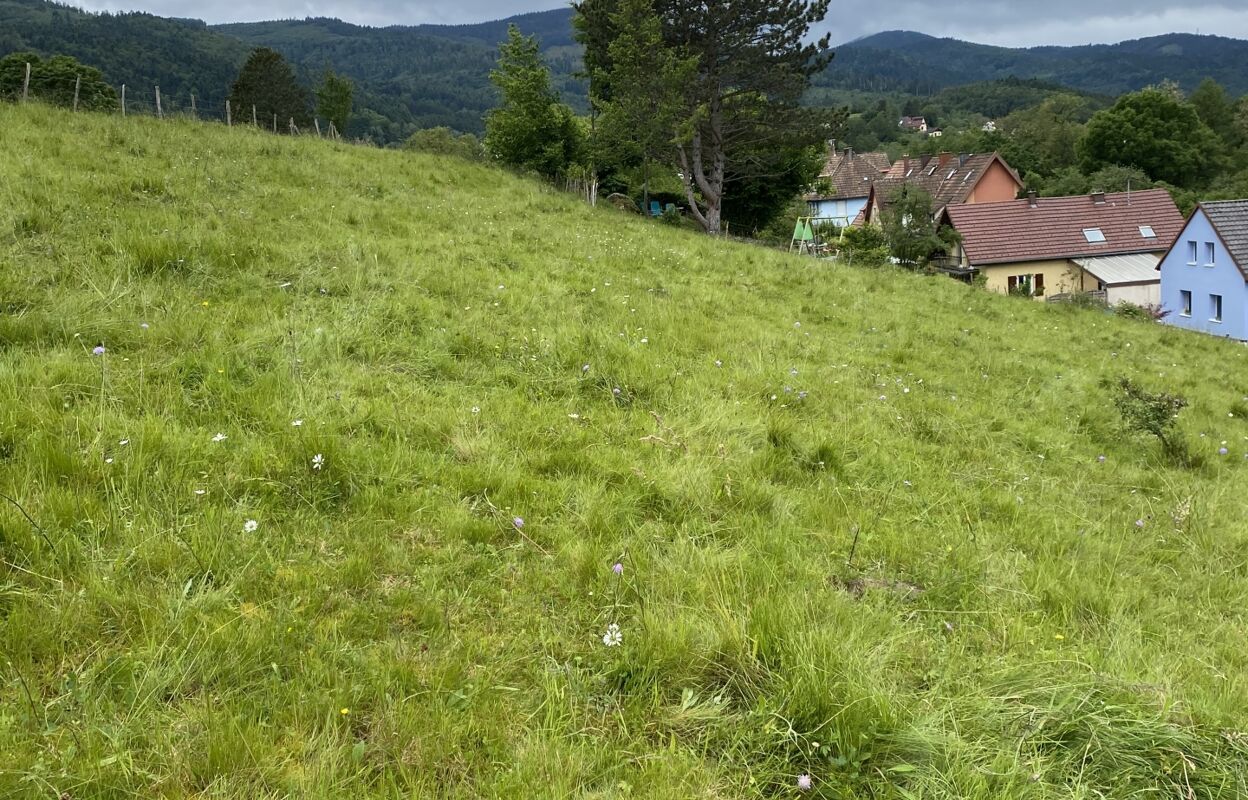 terrain  pièces 1189 m2 à vendre à Masevaux (68290)