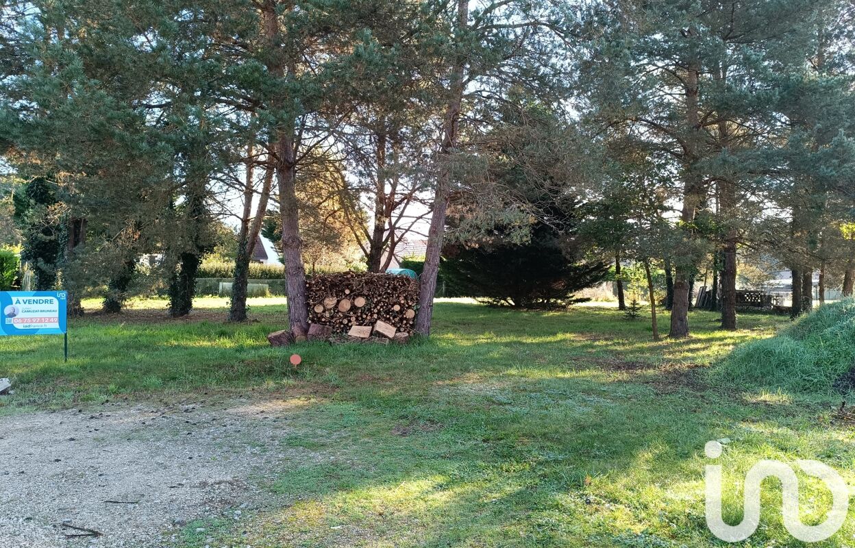 terrain  pièces 1000 m2 à vendre à Pruniers-en-Sologne (41200)