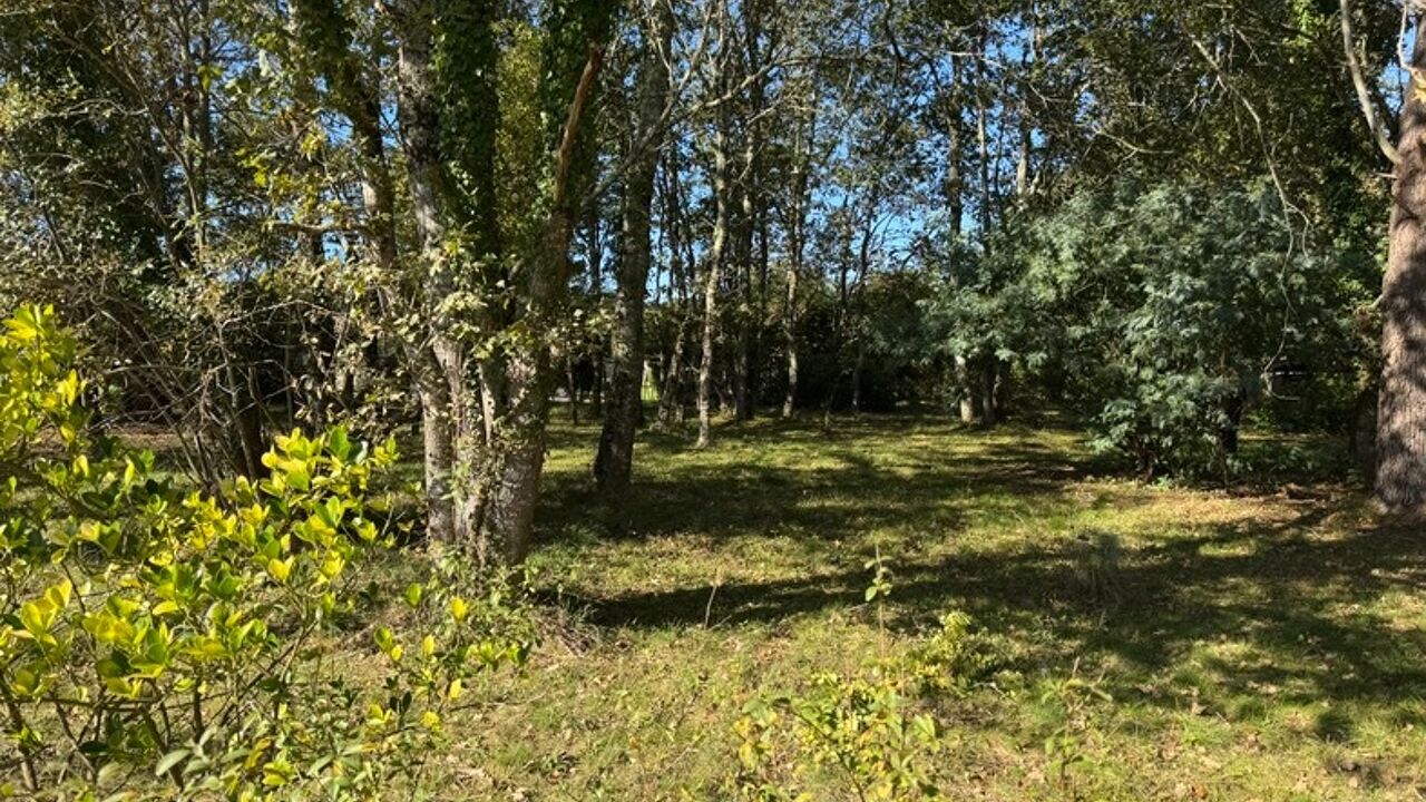 terrain  pièces 1190 m2 à vendre à Gaillan-en-Médoc (33340)