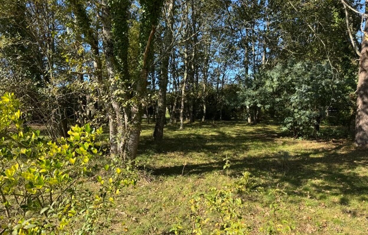 terrain  pièces 1190 m2 à vendre à Gaillan-en-Médoc (33340)