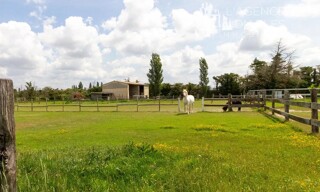 Photo N° 3
