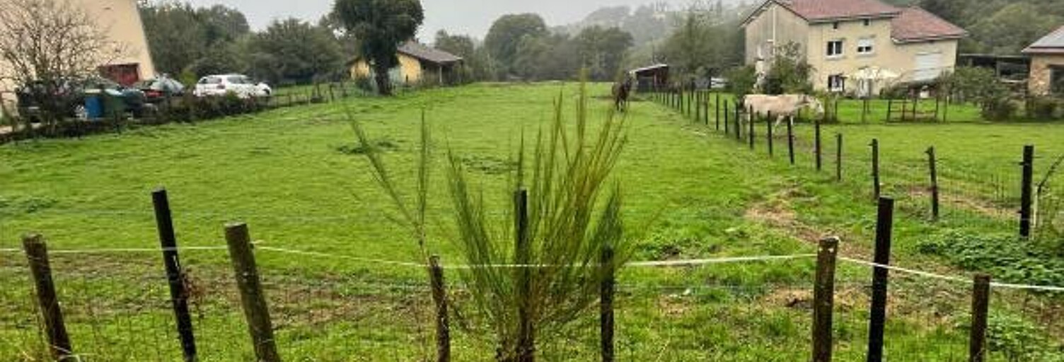 Terrain  1053 m² à vendre à Verneuil-sur-Vienne (87430)