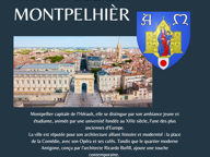 MONTPELLIER( GAROSUD) sympathique appartement ( duplex)111 m — photo 4
