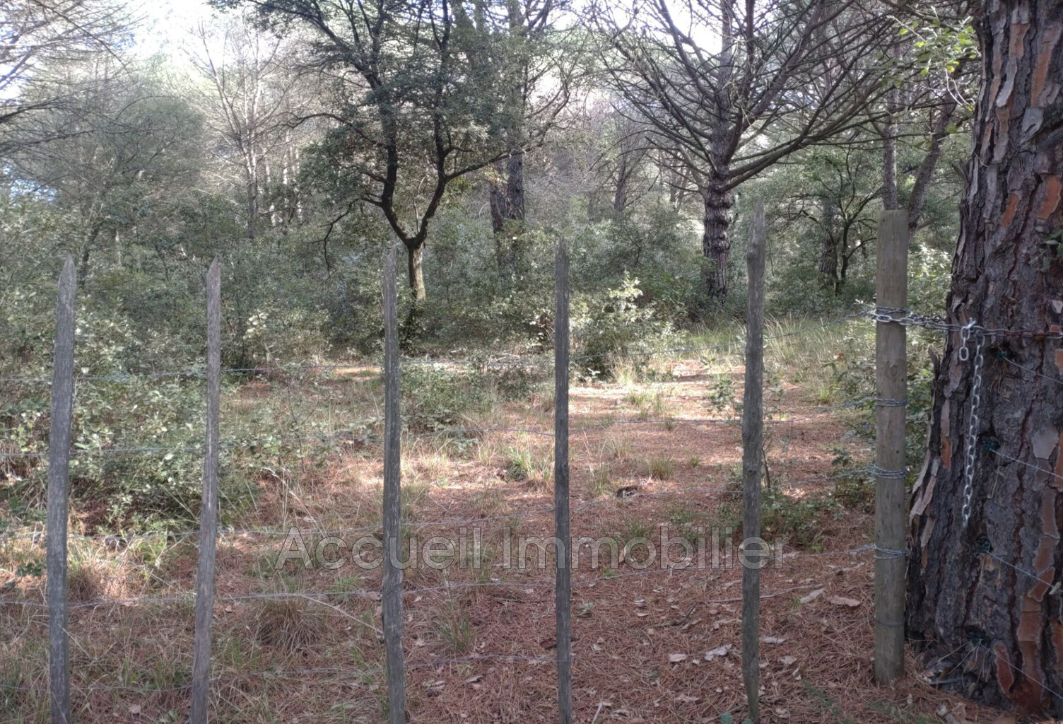 vente terrain non constructible — photo 1