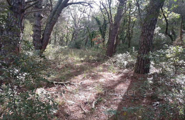 vente terrain non constructible — photo 2