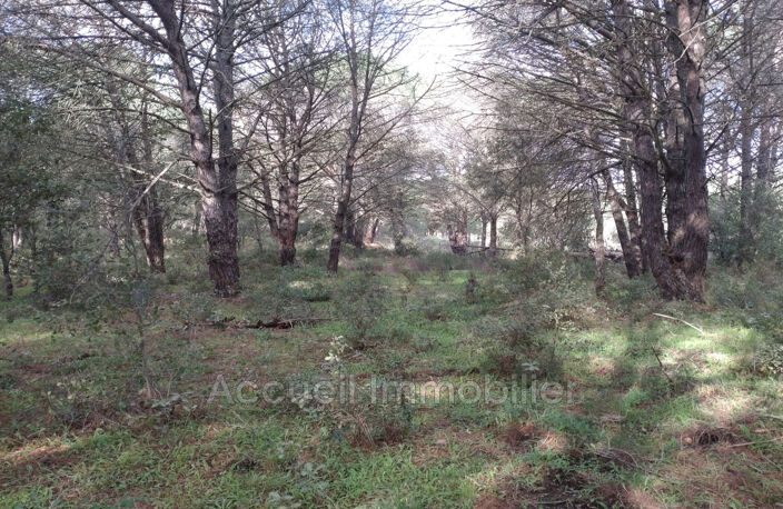 vente terrain non constructible — photo 4