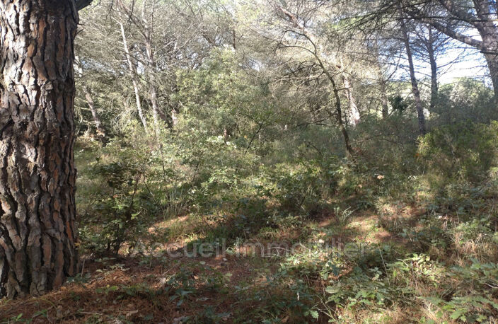 vente terrain non constructible — photo 5