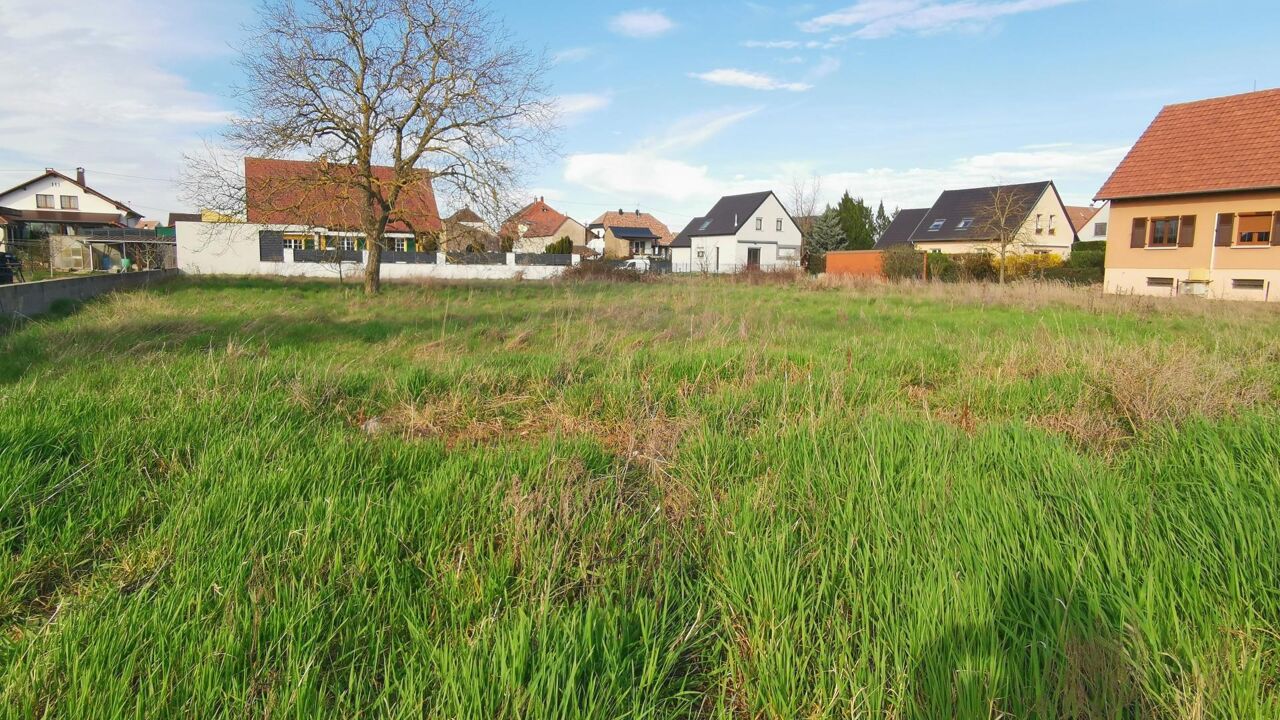 terrain  pièces 893 m2 à vendre à Meyenheim (68890)