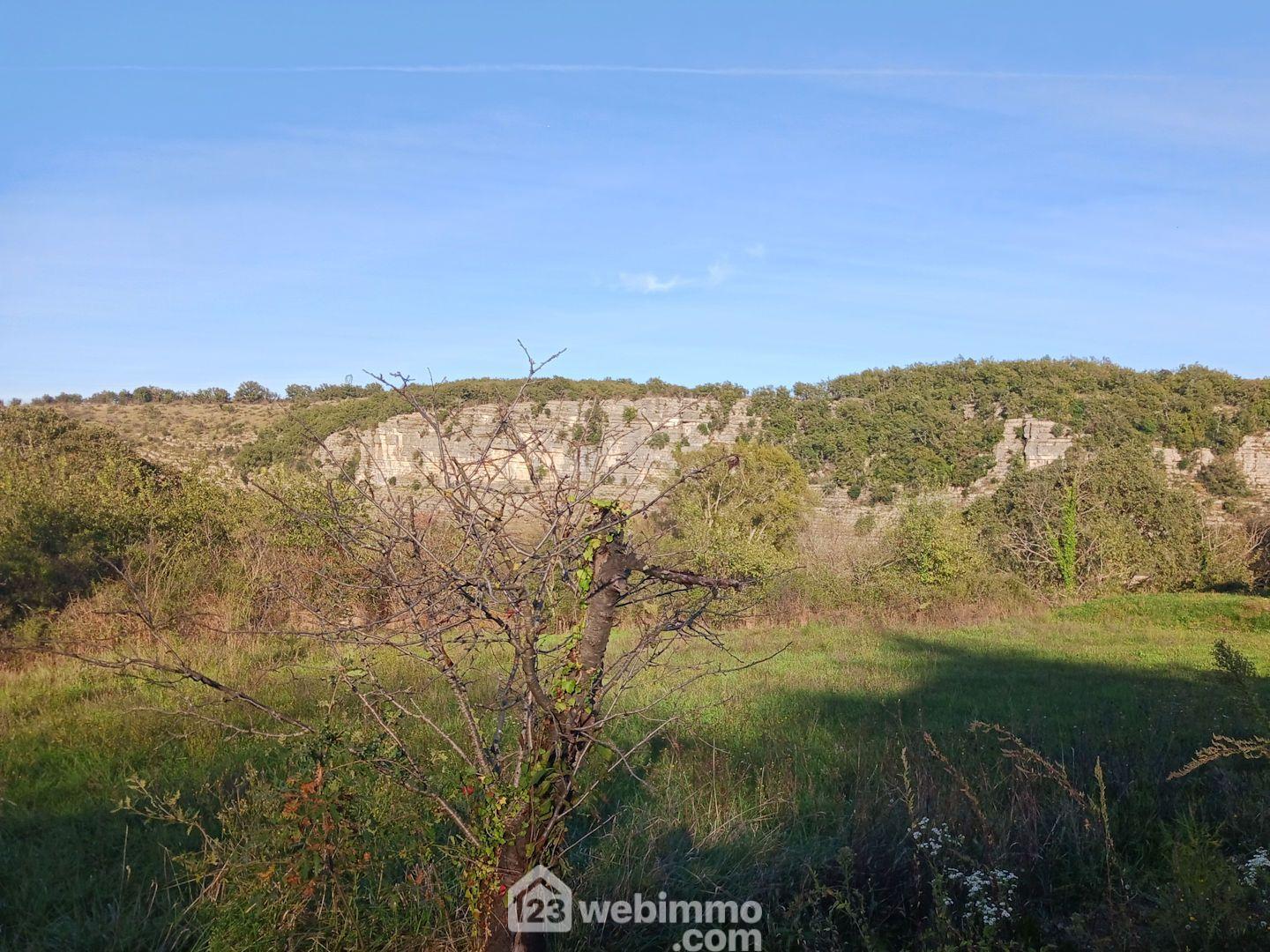 Photo Terrain à bâtir - 1317m² - Vogüé image 4/4