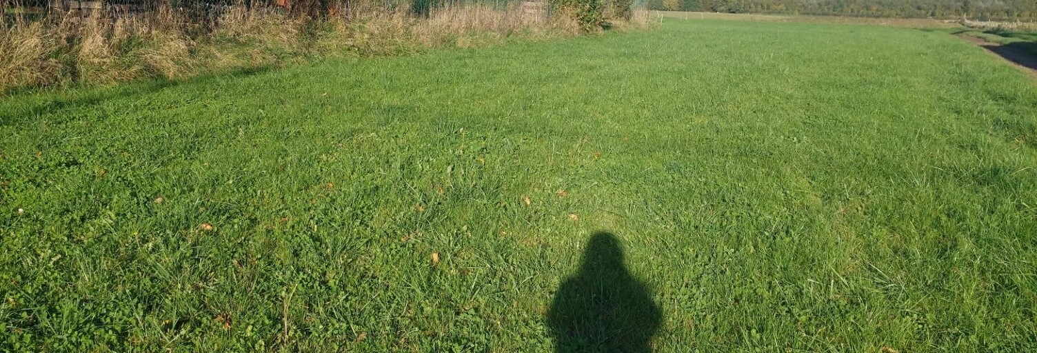 Terrain  1594 m² à vendre à Beaumont-en-Beine (02300)