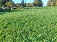 terrain constructible 1594 m² — photo 4