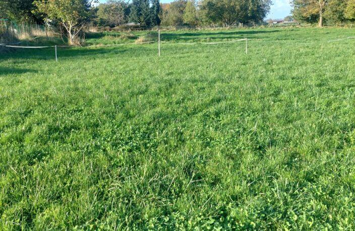 terrain constructible 1594 m² — photo 4