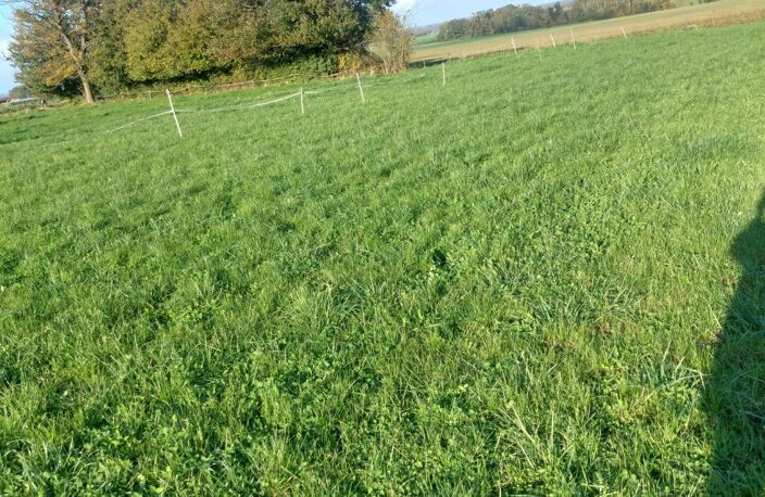 terrain constructible 1594 m² — photo 5