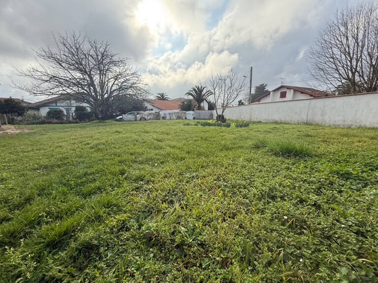 ANGLET CHASSIN EN EXCLUSIVITE TERRAIN CONSTRUCTIBLE — photo 1