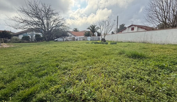 Terrain  à vendre Anglet 64600